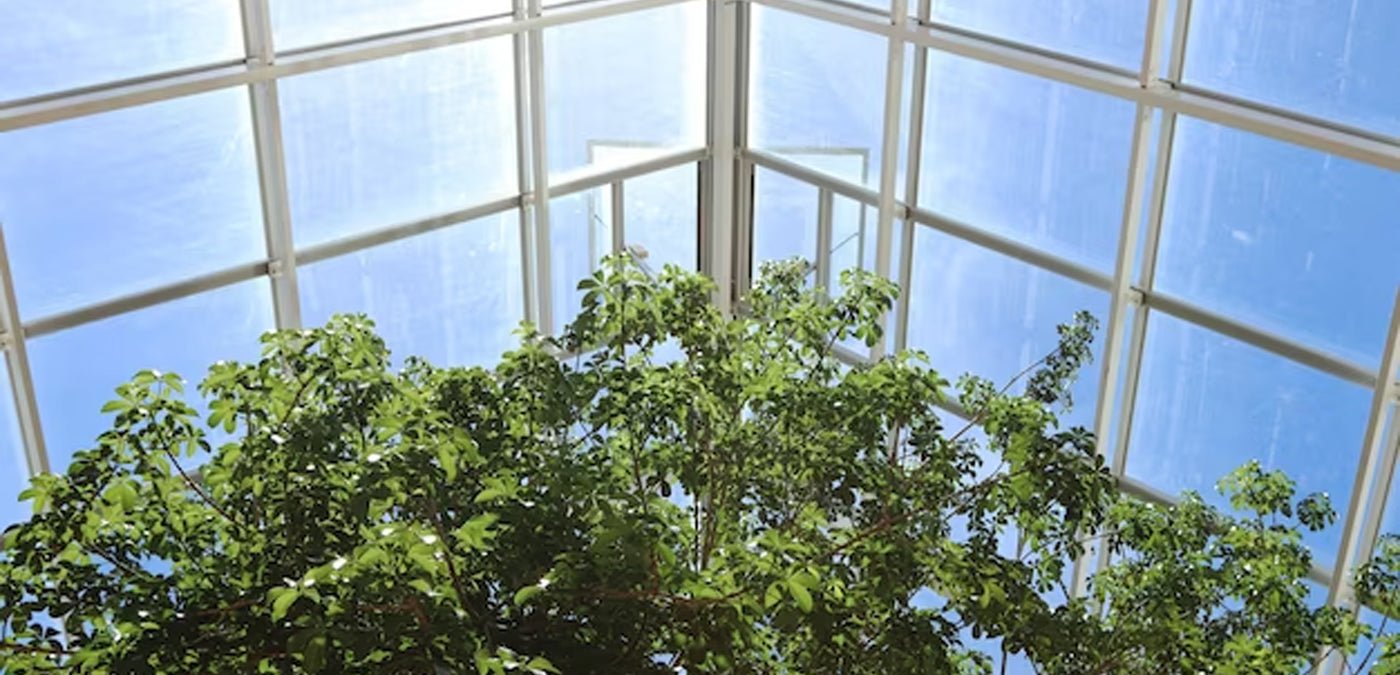 Environmental Benefits of Choosing Polycarbonate Sheets over Glass - ExcelitePlas
