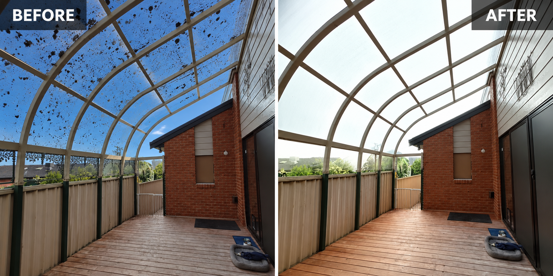 A side-by-side before and after comparison of a covered outdoor deck area. The left 'BEFORE' image shows a large number of birds perched on the transparent roof panel, while the right 'AFTER' image shows a clean, bird-free view.
